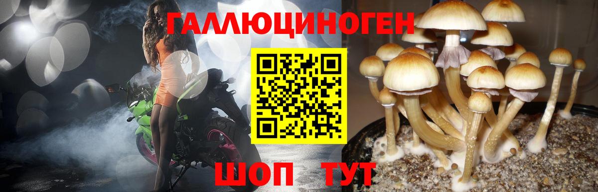 Гашиш  КОКАИН  Амфетамин   Дубна  MDMA  МЕФ кристаллы  Канабис  Вход с VPN 